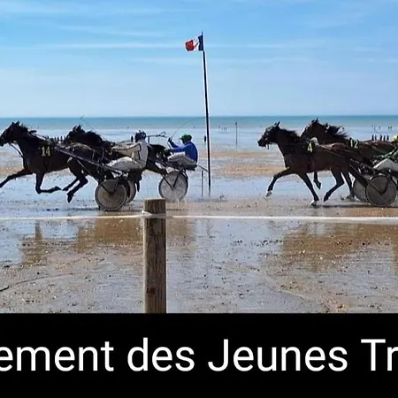 Ferienhaus Des Zebres Aventuriers L'Etang-Bertrand