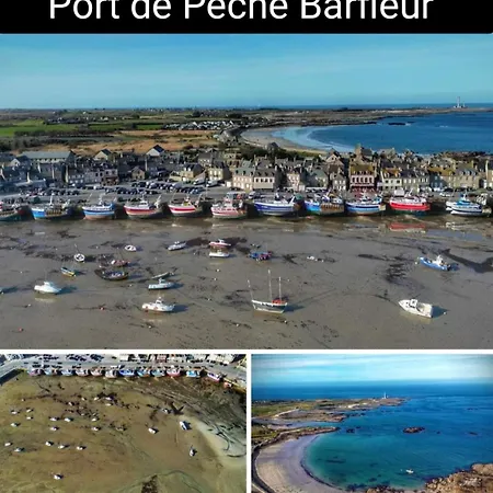 Des Zebres Aventuriers