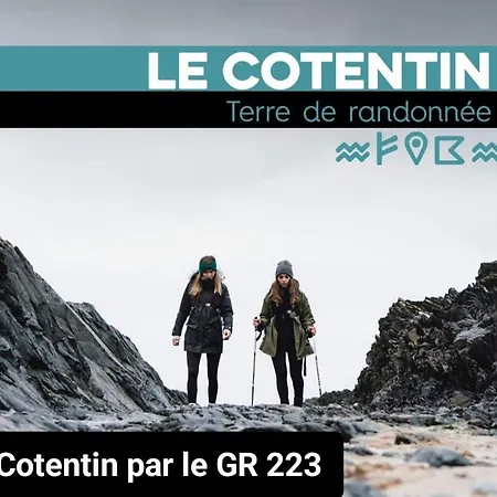 Des Zebres Aventuriers *