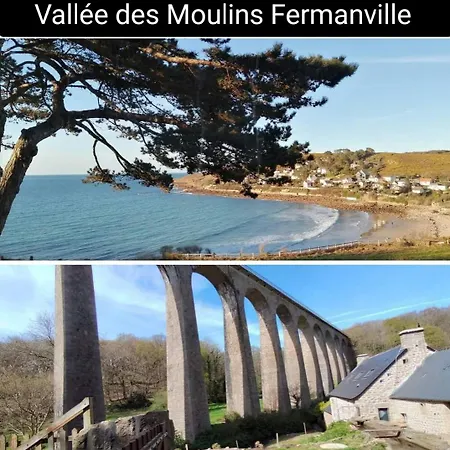 Des Zebres Aventuriers *